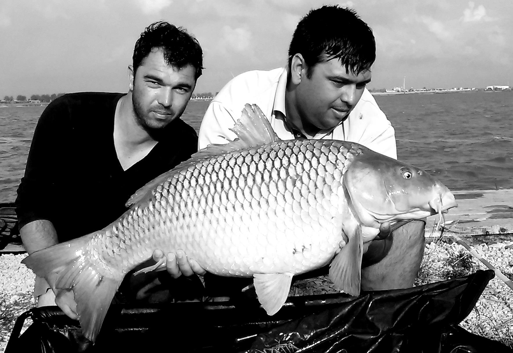 Corbu 3 - 5 iulie 2015 - 3.jpg